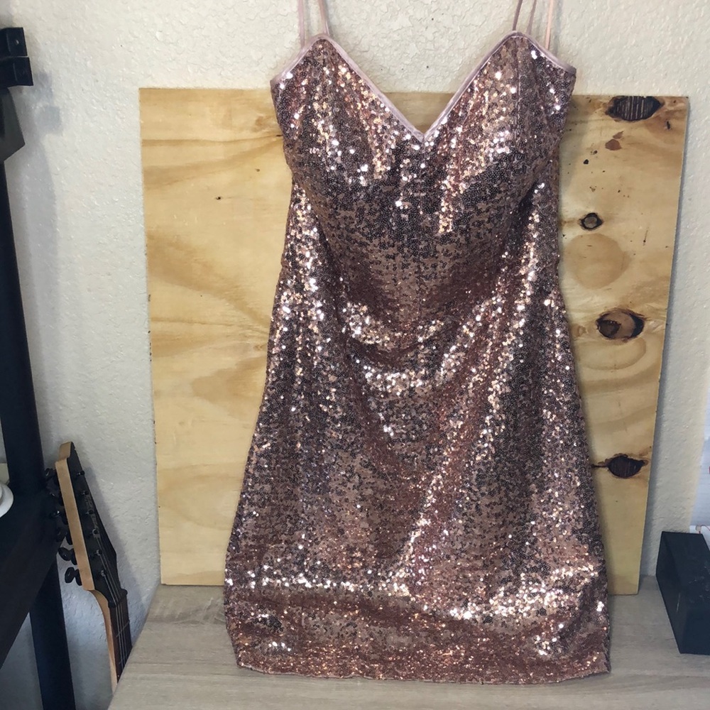 Beautiful Rose glitter dress zipper on back